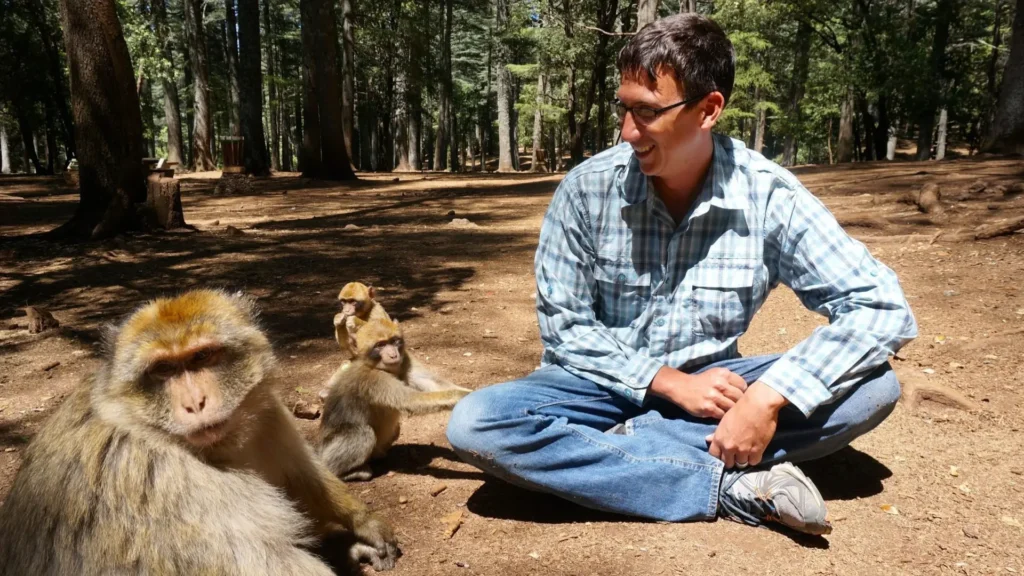 A man sitting in a cedar forest near Barbary macaques in a peaceful natural setting, showing the interaction between humans and wildlife in Morocco’s Middle Atlas Mountains during a Moroccan desert tour.