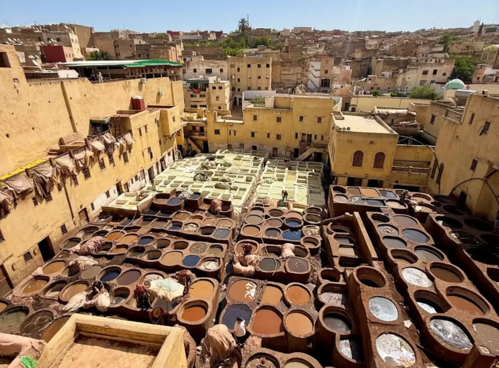 Traditional tanneries in Fez with circular dyeing vats and workers tanning leather