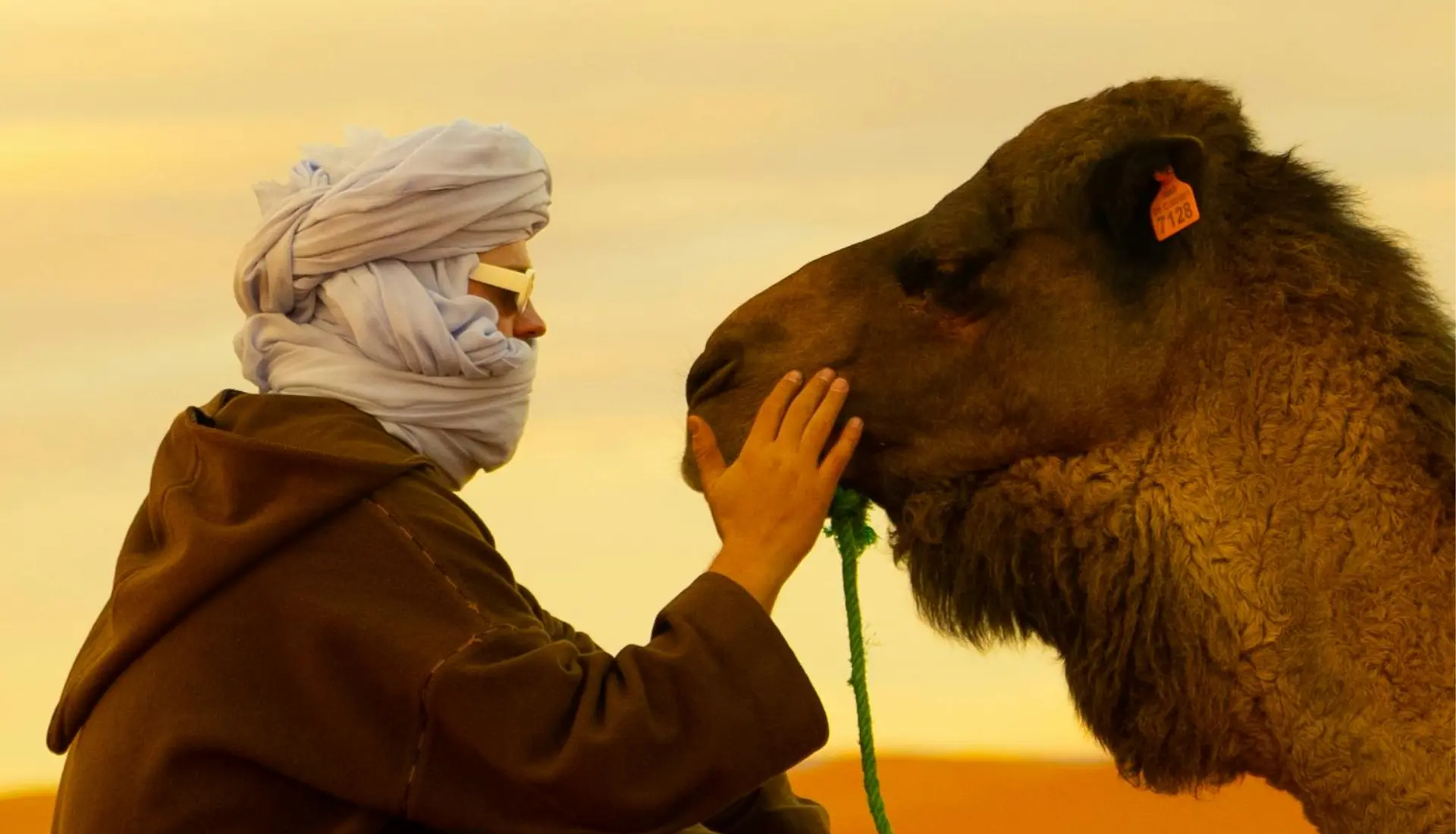 A traveler wearing a traditional blue turban bonding with a camel in the Merzouga dunes during a shared 3 day Sahara desert tour from Marrakech to Fes.