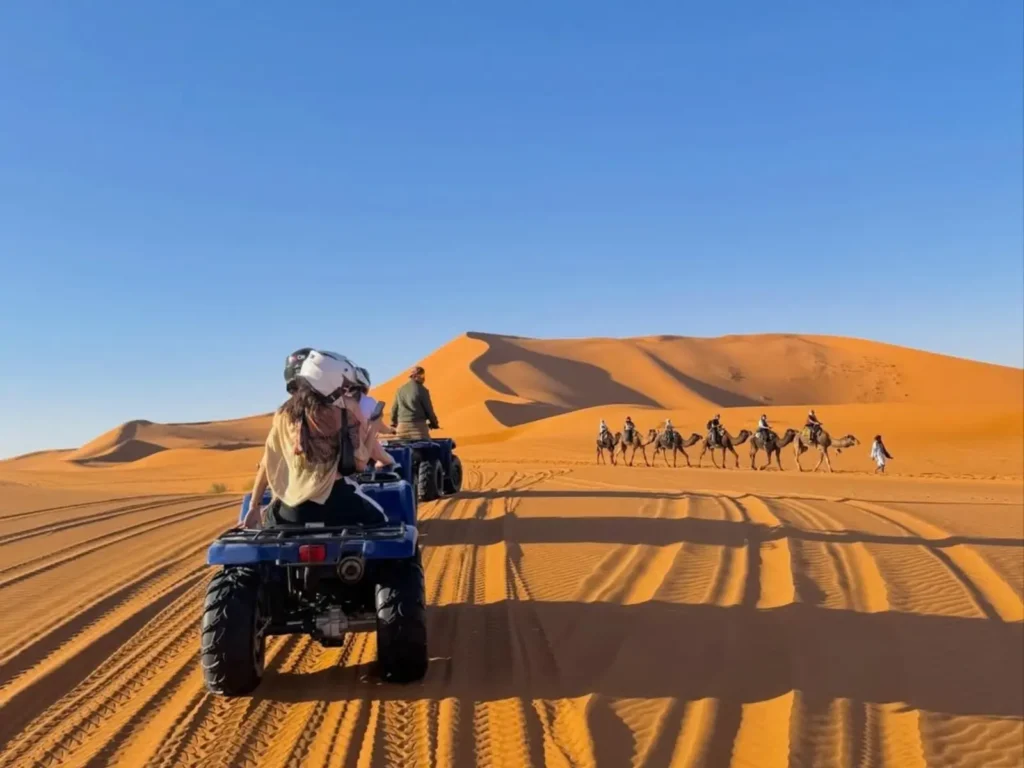 Travelers enjoying a quad biking adventure and camel caravan during the best time for a Morocco desert trip in Merzouga.