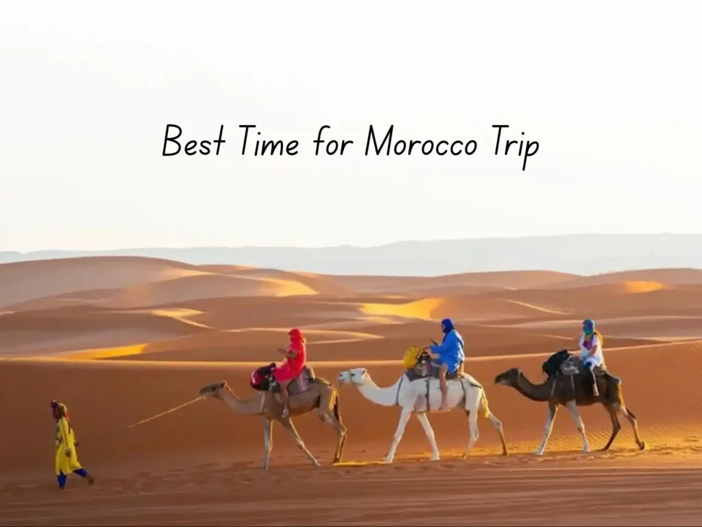 A group of travelers on a camel trek in the Erg Chebbi dunes during the best time for a Morocco trip.