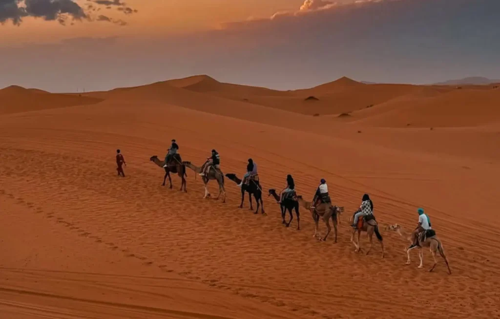 A line of travelers riding camels in a caravan across the orange sand dunes of the Sahara Desert at sunset. This image showcases the ultimate adventure for those who travel to Morocco from Japan, featuring a traditional camel trek under a golden sky in Merzouga.