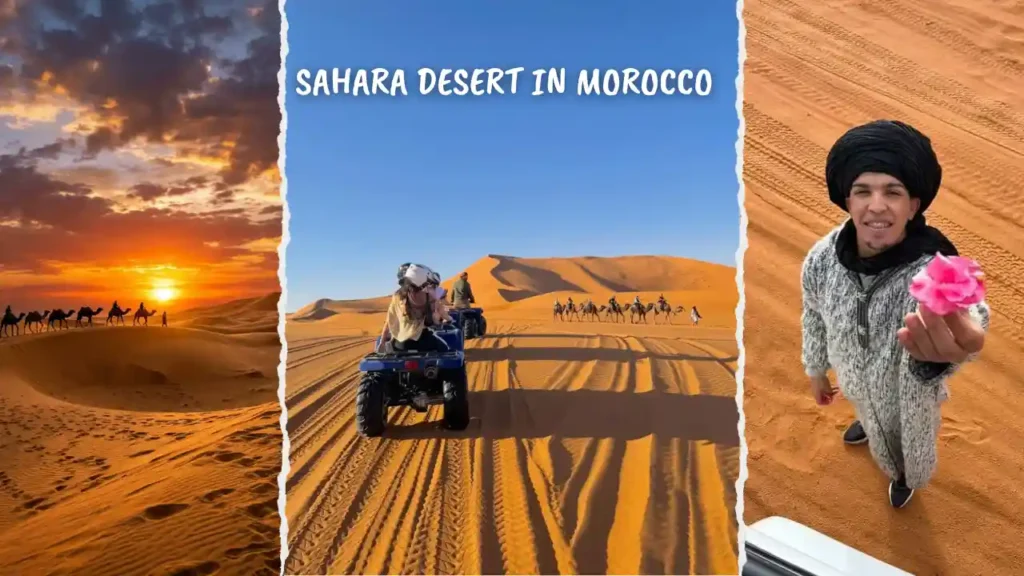 A multi-panel collage of the Sahara Desert in Morocco featuring a silhouette of a camel caravan at sunset, travelers riding quad bikes over high orange sand dunes, and a local Berber guide in traditional dress offering a rose, showcasing the variety of cultural and adventurous things to do in the Sahara Desert in Morocco.